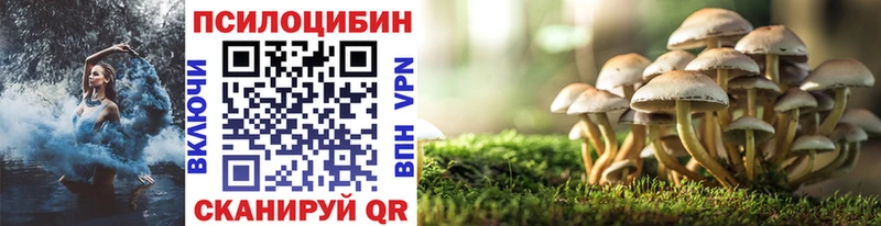 как найти наркотики Шахунья Галлюциногенные грибы Magic Shrooms